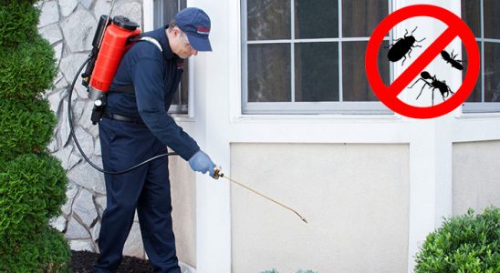 Palandöken Akrep İlaçlama böcek ilaçlama ve haşere kontrolü — ilaclama-tr.com